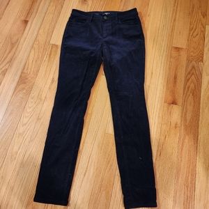 Navy Loft Pants